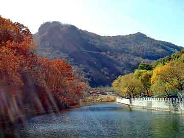 澳门天天免费精准大全，导热油电加热器